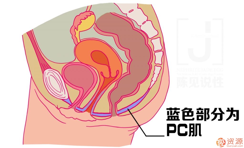 女性朋友怎么練習玉蛋功？玉蛋功鍛煉詳解插圖