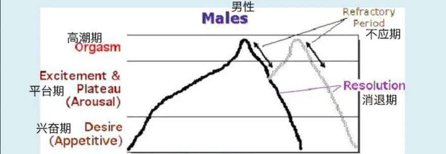 令人迷惑的“賢者模式”，抽搐后索然無味插圖1