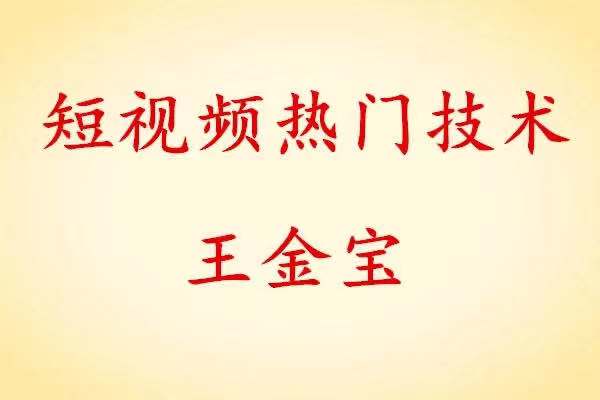 王金寶短視頻熱門技術(shù)百度網(wǎng)盤分享 百度網(wǎng)盤插圖