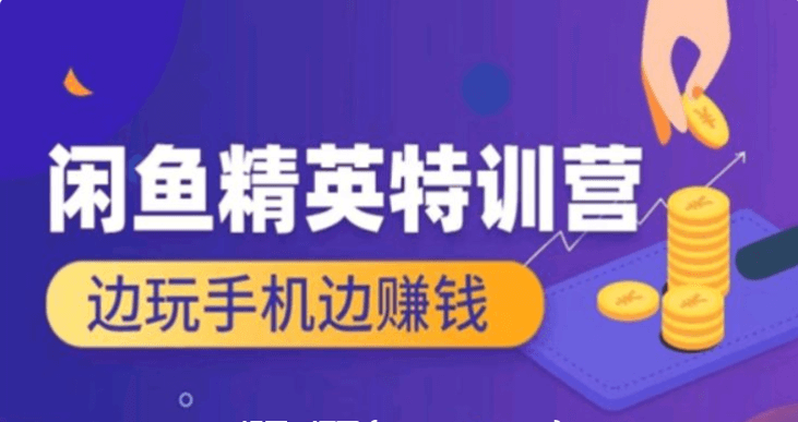 翼牛學(xué)堂：閑魚精英特訓(xùn)營進階班，邊玩手機邊賺錢價值4999元-百度云網(wǎng)盤教程視頻插圖