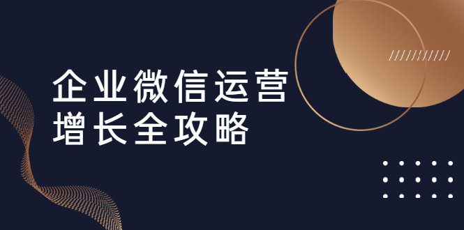 企業(yè)微信運營增長全攻略：引流+裂變+運營+成交  百度網(wǎng)盤插圖