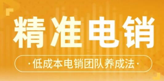 張搏《精準電銷》電話銷售技巧，低成本電銷團隊養(yǎng)成法_百度云網(wǎng)盤資源教程插圖