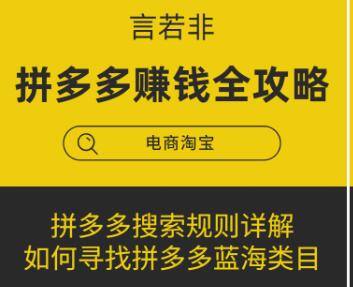 言若非-拼多多賺錢全攻略-百度云分享_百度云網(wǎng)盤教程視頻插圖