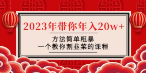 韭菜-聯(lián)盟?2023年帶你年入20w+方法簡(jiǎn)單粗暴，教你如何正確割韭菜插圖