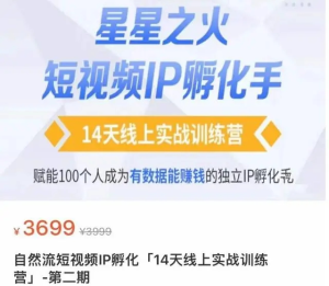 瑤瑤?自然流短視頻IP孵化第二期，成為有數(shù)據(jù)能賺錢的獨(dú)立IP孵化手百度網(wǎng)盤插圖