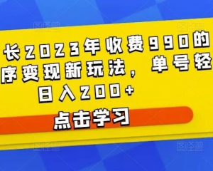 D1G館長2023年收費990的抖音小程序變現(xiàn)新玩法百度網(wǎng)盤插圖