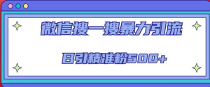 微信搜一搜引流全系列課程，日引精準(zhǔn)粉500+（8節(jié)課）百度網(wǎng)盤插圖