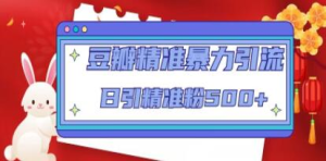 豆瓣精準(zhǔn)暴力引流，日引精準(zhǔn)粉500+【12課時(shí)】百度網(wǎng)盤插圖