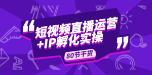 謙四?短視頻直播運營及IP孵化實操，80節(jié)干貨實操分享百度網(wǎng)盤插圖