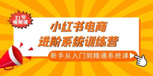 小紅書電商高階系統(tǒng)教程，新手從入門到精通系統(tǒng)課百度網(wǎng)盤插圖