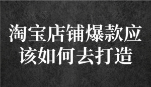 冠東?爆款店鋪淘系爆款選品方法，一個(gè)好選品思路決定是否盈利百度網(wǎng)盤插圖