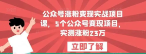 公眾號漲粉變現(xiàn)實戰(zhàn)項目課，5個公眾號變現(xiàn)，漲粉23萬百度網(wǎng)盤插圖