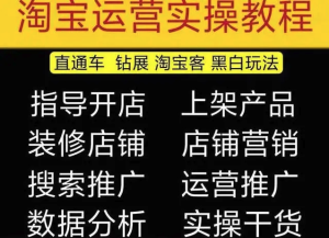 2023淘寶開店教程0基礎(chǔ)到高級(jí)全套視頻網(wǎng)店電商運(yùn)營(yíng)培訓(xùn)教學(xué)課程（2月更新）百度網(wǎng)盤插圖