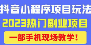 抖音小程序9.0新技巧，2023熱門副業(yè)項目，輕松變現(xiàn)百度網盤插圖