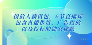 三里屯?投放人薪資包，6節(jié)直播課，直播帶貨、廣告投放獨家秘籍百度網(wǎng)盤插圖