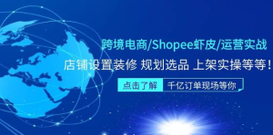 跨境電商Shopee蝦皮運(yùn)營實操直播課（10節(jié)系統(tǒng)課）百度網(wǎng)盤插圖