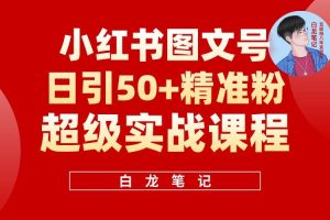 小紅書圖文號(hào)日引50+精準(zhǔn)流量，新手小白實(shí)戰(zhàn)的小紅書引流課百度網(wǎng)盤插圖