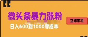 微頭條暴力漲粉技巧搬運文案就能漲幾萬粉絲，0成本日賺600百度網盤插圖