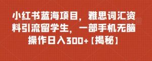 小紅書藍海項目雅思詞匯資料引流留學生，0門檻操作日入300百度網盤插圖