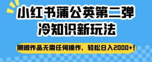 小紅書蒲公英冷知識新玩法，照搬作品賺錢副業(yè)百度網(wǎng)盤插圖