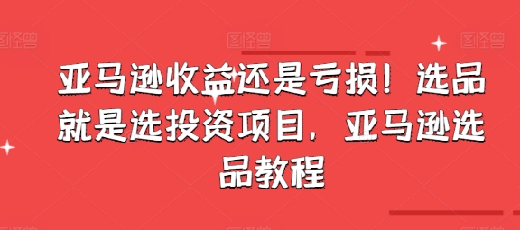 亞馬遜收益還是虧損！選品就是選投資項目，亞馬遜選品教程插圖