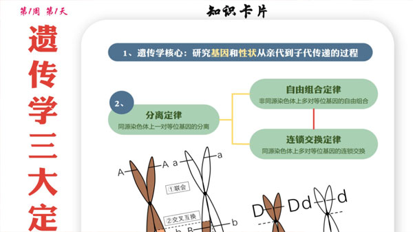 2024屆高考高三各科夢想點(diǎn)當(dāng)鋪課件合集插圖