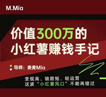 【抖音上新】價(jià)值300萬的小紅書賺錢手記 變現(xiàn)高、鏈路短、輕運(yùn)營，這波“小紅薯風(fēng)口”不能再錯過。