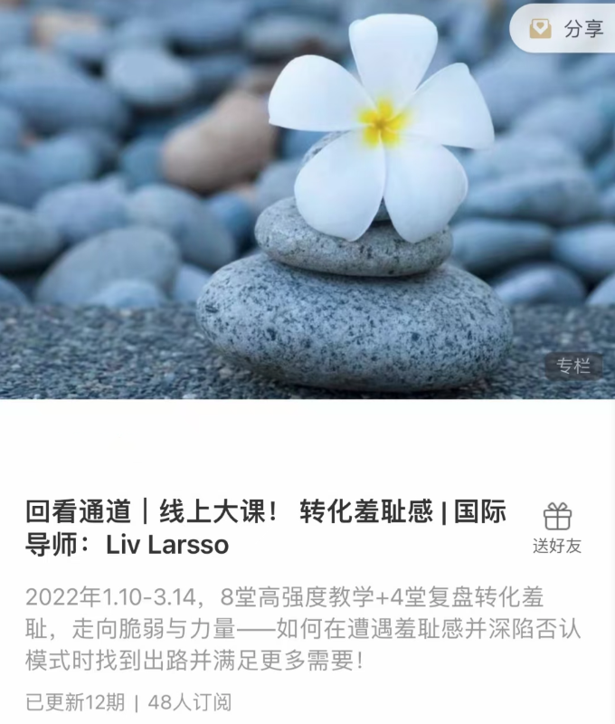 轉(zhuǎn)化羞恥感 _ 國(guó)際導(dǎo)師：Liv Larsso插圖