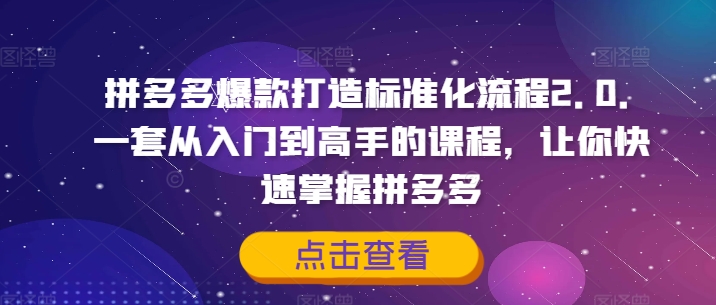 拼多多爆款打造標(biāo)準(zhǔn)化流程2.0，一套從入門到高手的課程，讓你快速掌握拼多多插圖