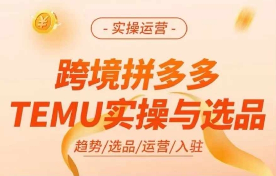 跨境拼多多TEMU實操與選品，多多temu跨境選品運營實操插圖