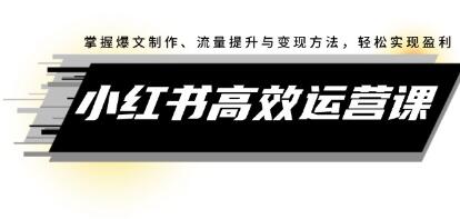 《小紅書高效運(yùn)營(yíng)課》掌握爆文制作、流量提升與變現(xiàn)方法，輕松實(shí)現(xiàn)盈利插圖