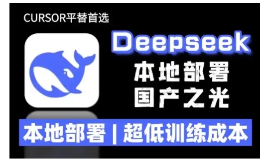 2025年deepseek R1 大型模型本地安裝部署(文件+教程)本地部署，超低訓練成本插圖